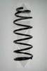 SPIDAN 56746 Coil Spring